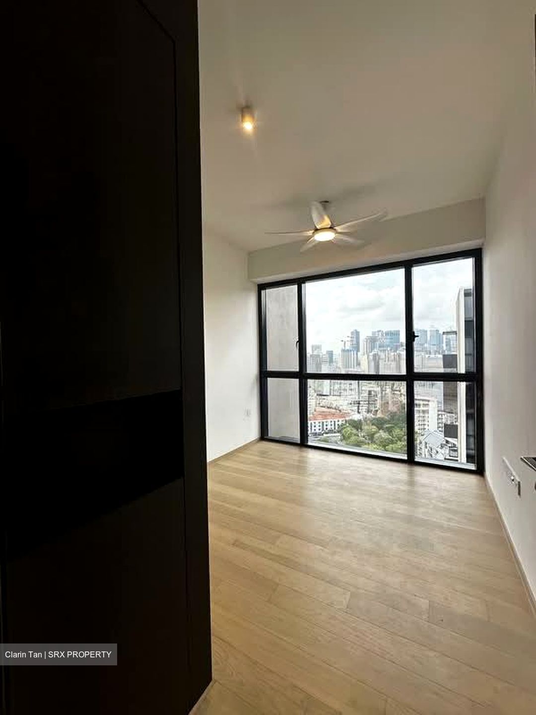Piccadilly Grand (D8), Apartment #574418051